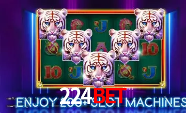 Estatísticas do Jogo 224bet