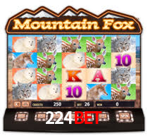 224bet